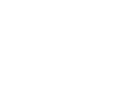 Baggot Logo (new)
